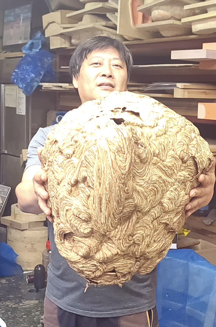 대표가 직접 제거한 초대형 말벌집